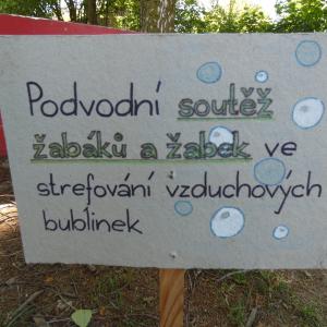 59.jpg