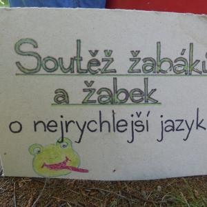 60.jpg
