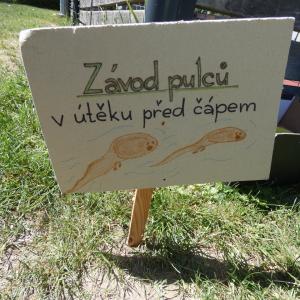 70.jpg